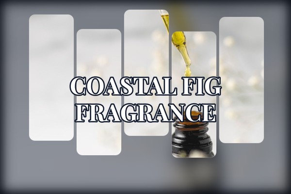 coastal fig fragrance