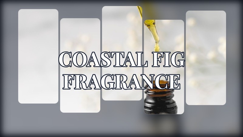 coastal fig fragrance