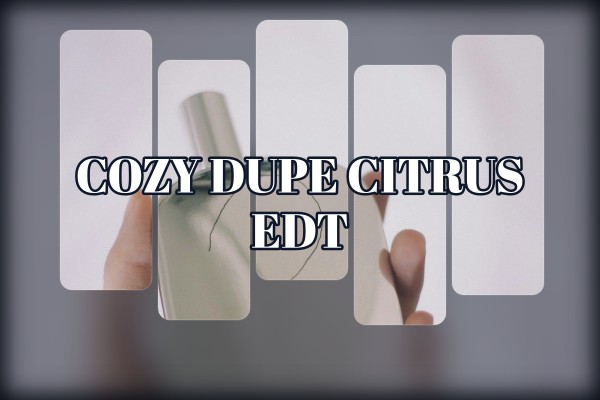 cozy dupe citrus edt