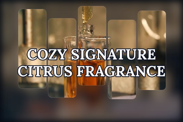 cozy signature citrus fragrance