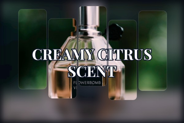 creamy citrus scent