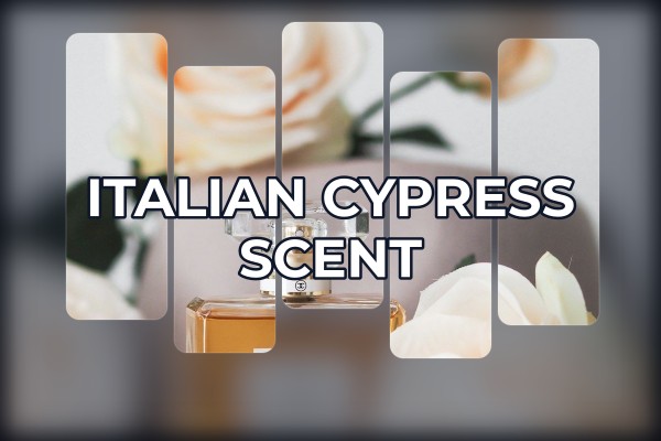 italian cypress scent