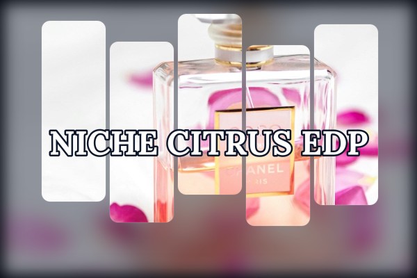 niche citrus edp
