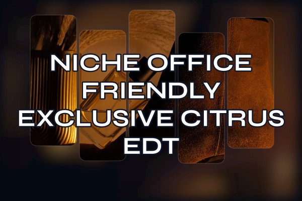 niche office friendly exclusive citrus edt