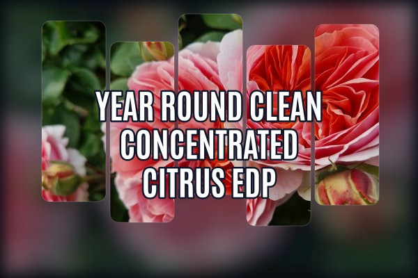 year-round clean concentrated citrus edp